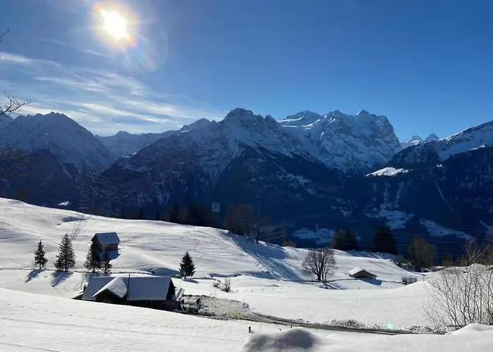 Vakantiehuis By Interhome Hasliberg